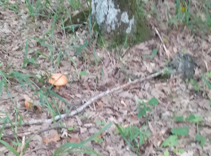 E Vacanze Belvedere Vakantiehuis